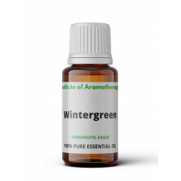 Wintergreen (Golteria ) -...