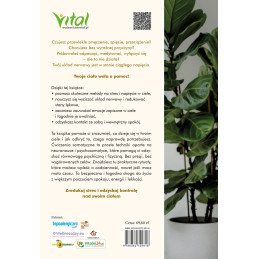 Cwiczenia somatyczne na stres napiecia wyczerpanie Julia Wohlfarth t ML 800px