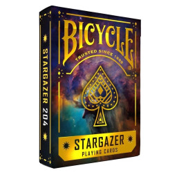 Bicycle STARGAZER 204...